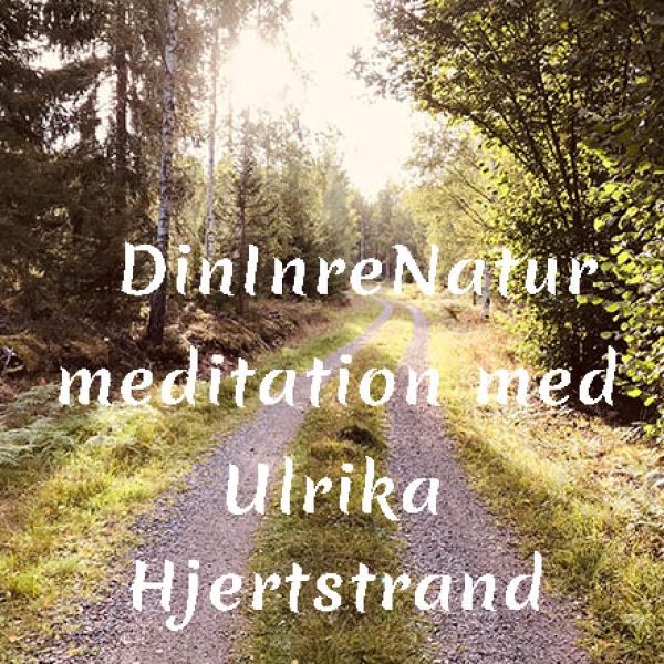 Inspelad meditation: Din inre natur
