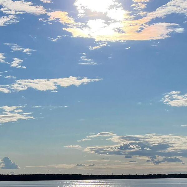 Uppföljning av din manifesteringsläsning